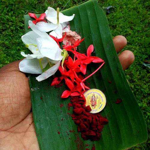 പുഷ്പാഞ്ജലികൾ